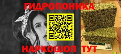 гидра Аргун